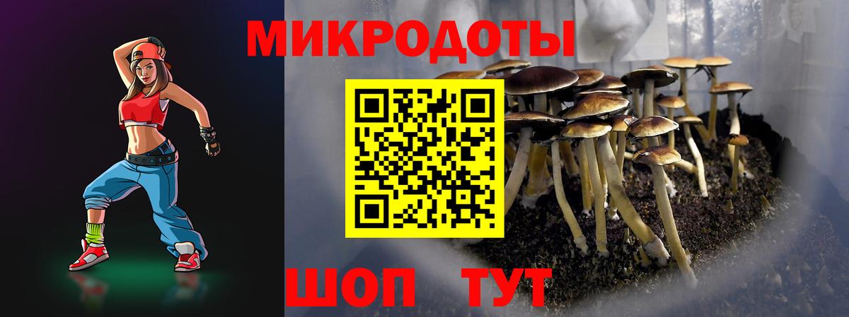 Галлюциногенные грибы Cubensis  купить наркотик  Кинель  Вход с VPN 